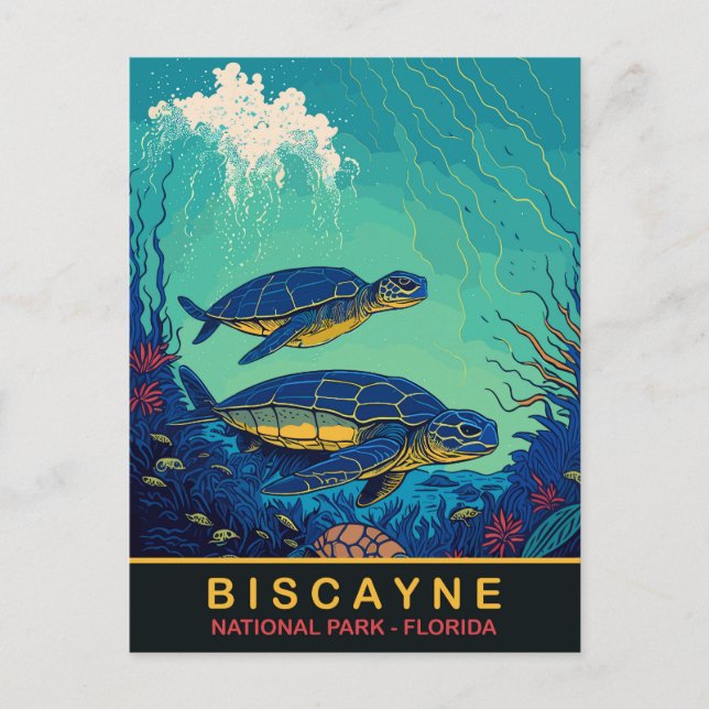 Biscayne, Sköldpaddor Under Vatten, Florida, Resa Vykort (Framsida)