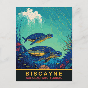 Biscayne, Sköldpaddor Undervatten, Floraida, Resa Vykort