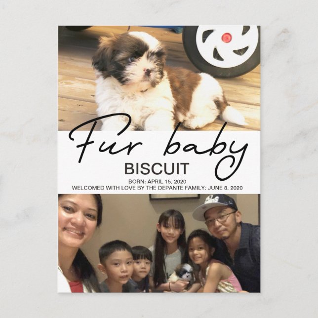 Biscuit - välkommen vykort (Framsida)