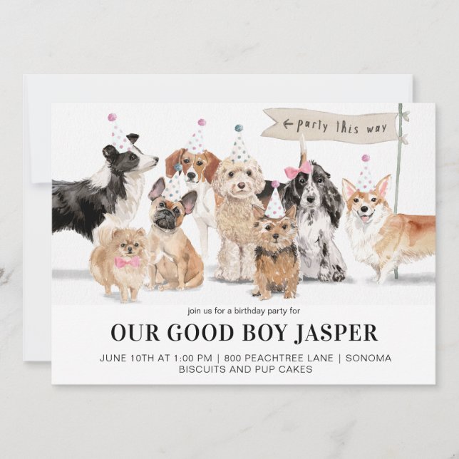 Biscuits & Valp Cakes Hund Födelsedagsfest Inbjudningar (Framsida)
