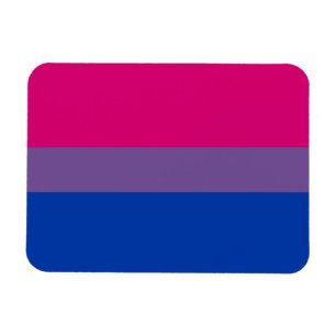 Bisexual Pride Flagga Magnet
