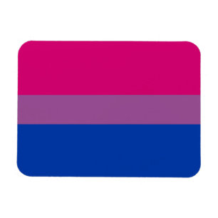 Bisexual Pride Flagga Magnet