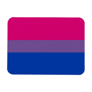 Bisexual Pride Flagga Magnet