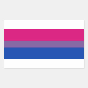 Bisexual Pride Flagga Rektangulärt Klistermärke