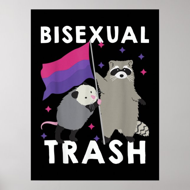 Bisexual Sopor Gay pride Rainbow LGBT Raccoon Poster (Framsidan)