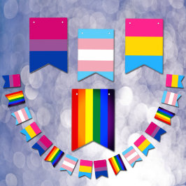 Bisexual, Transgender, Pansexual & Rainbow Flaggor