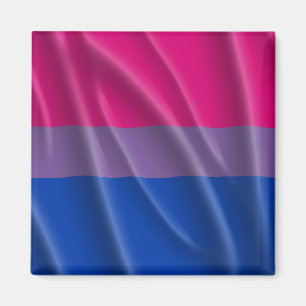 BISEXUELL PRIDE MAGNET