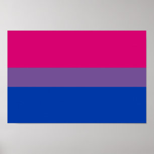 Bisexuell prideflagga poster