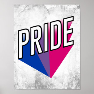 Bisexuell stolthet explosion poster