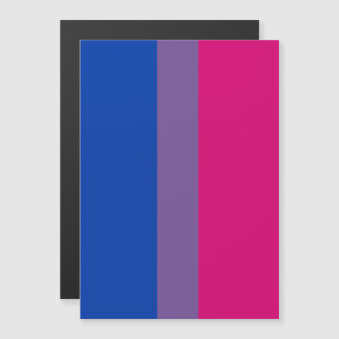 Bisexuell stolthetsflagga magnetisk inbjudningskort