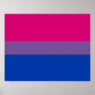 Bisexuell stolthetsflagga poster