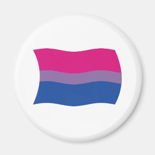 Bisexuell stolthetsflaggmagnet magnet