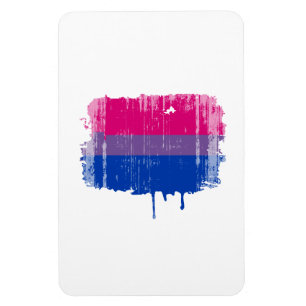 Bisexuella bedrövade pridefärger magnet