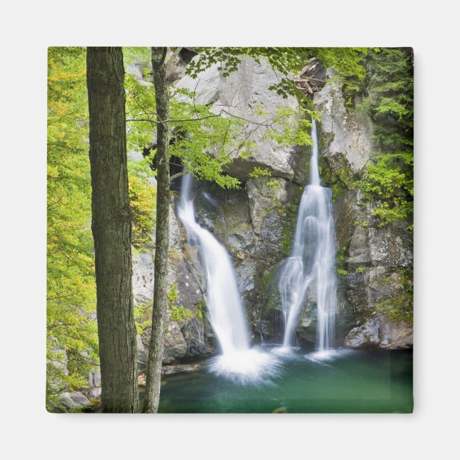 Bish Bash Falls i Bish Bash Falls State Park Magnet (Framsidan)