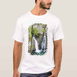 Bish Bash Falls i Bish Bash Falls State Park T Shirt