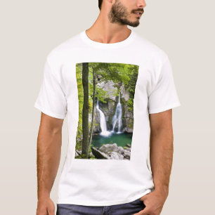 Bish Bash Falls i Bish Bash Falls State Park Tee Shirt