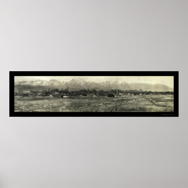 Bishop Inyo County CA Photo 1911 Poster (Framsidan)