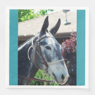 Bishop Mule Days Parad 2018 Pappersservett