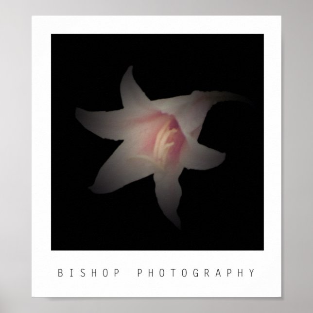 Bishop Photography Poster (Framsidan)
