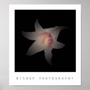 Biskopfotografi Poster