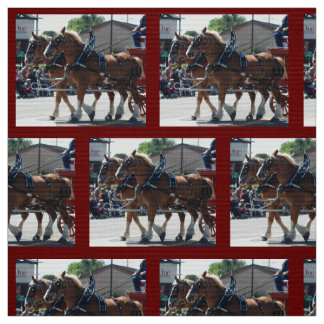 BiskopMuledagar 2018 Tyg