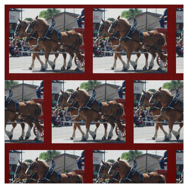 BiskopMuledagar 2018 Tyg (Provkarta)