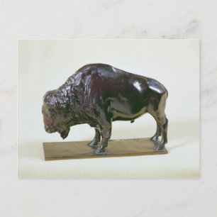 Bison, 1907 vykort