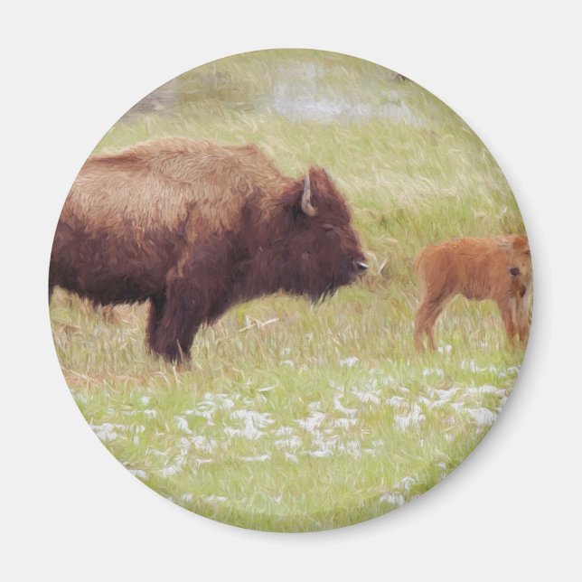 Bison and Calf in Yellowstone Magnet (Framsidan)