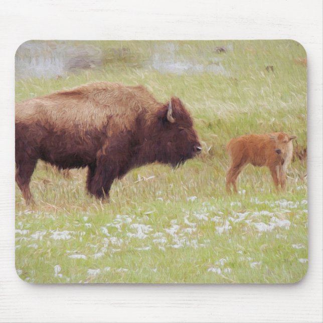 Bison and Calf in Yellowstone Musmatta (Framsidan)