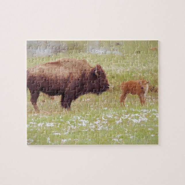 Bison and Calf in Yellowstone Pussel (Horisontell)