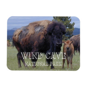 Bison and Calf, Vind Cave National Park, SD Magnet