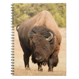 Bison Anteckningsbok