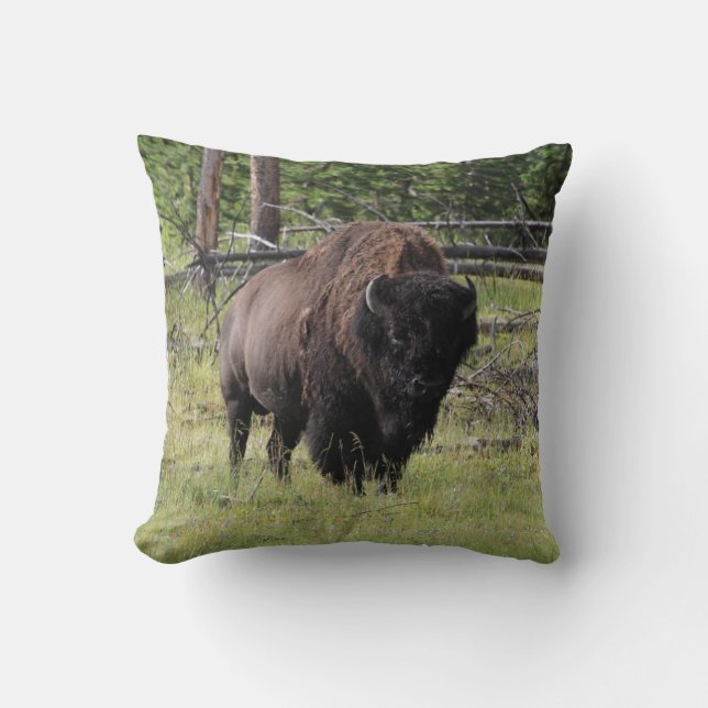 Bison av det Yellowstone fotoet Kudde (Framsida)