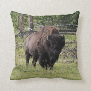 Bison av det Yellowstone fotoet Kudde