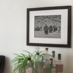 Bison Black White Cabin Farmhouse Stil Modern Poster