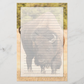 Bison Brevpapper