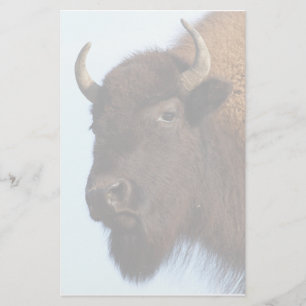 bison brevpapper