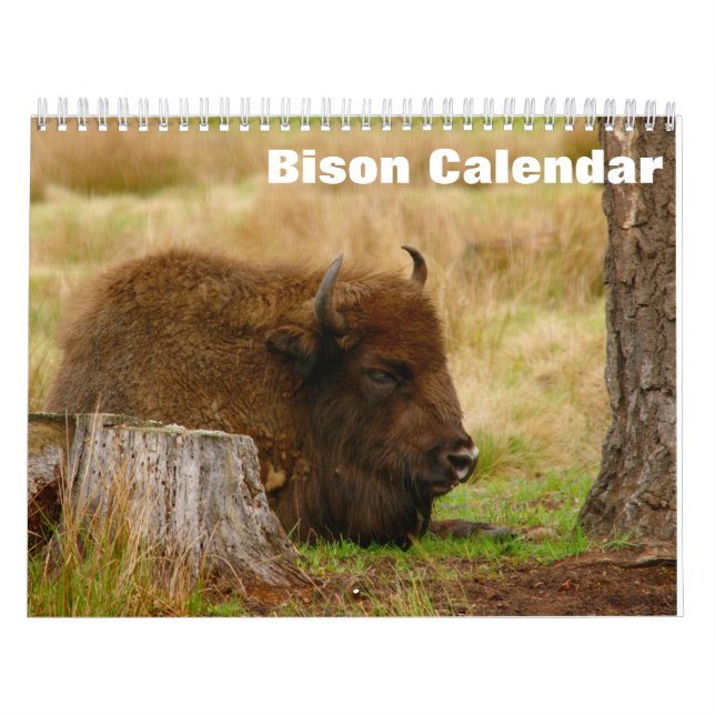 Bison Buffalo 2025-kalender Kalender (Omslag)