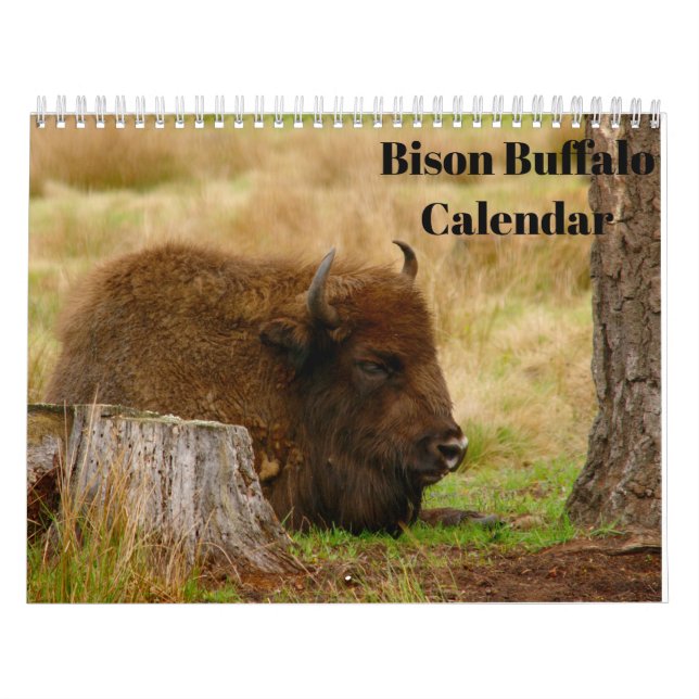 Bison Buffalo 2026 Kalender (Omslag)