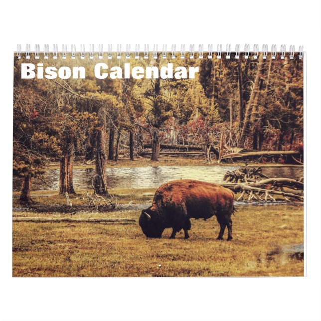 Bison Buffalo 2027 Kalender (Omslag)