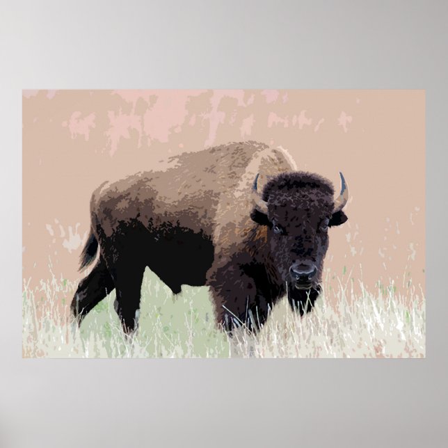 Bison Buffalo American Artwork Poster (Framsidan)