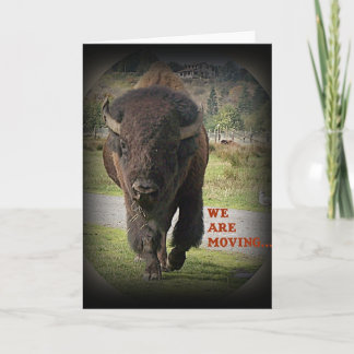 Bison Buffalo Animal Vi är Flytta Card Meddelande