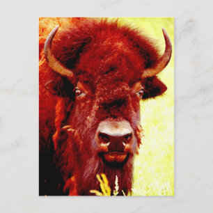 Bison/Buffalo Ansikte Vykort
