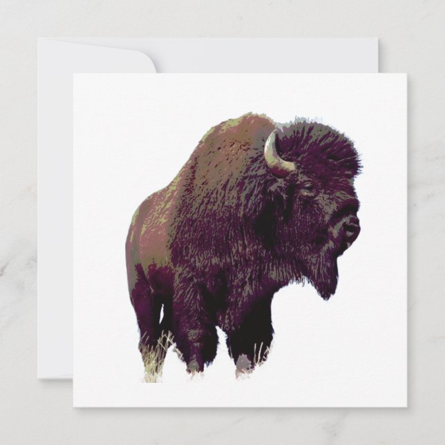 Bison Buffalo Card (Framsida)