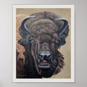 Bison Buffalo Cow Eating on Tan Poster
