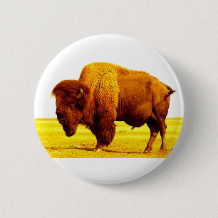 Bison / Buffalo Knapp