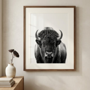 Bison Buffalo Modern Porträtt svart vitt Poster