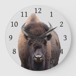 Bison Buffalo Photo 135 Stor Klocka