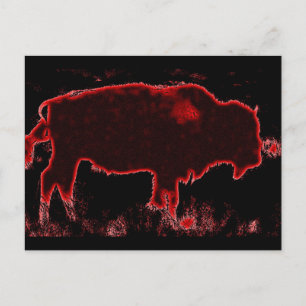 Bison / Buffalo Vykort
