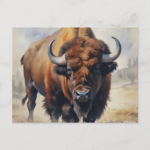 Bison / Buffalo Vykort